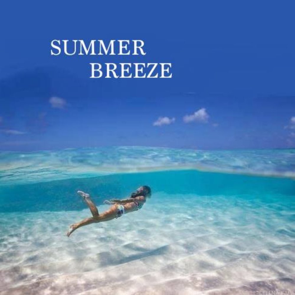 🌊🌴SUMMER BREEZE 🌴🌊